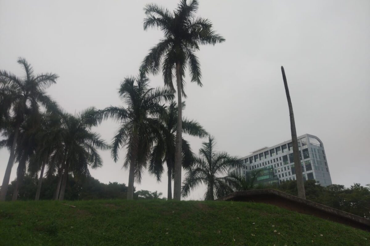 Frente Frío Número 28 dejará lluvias significativas en Tabasco