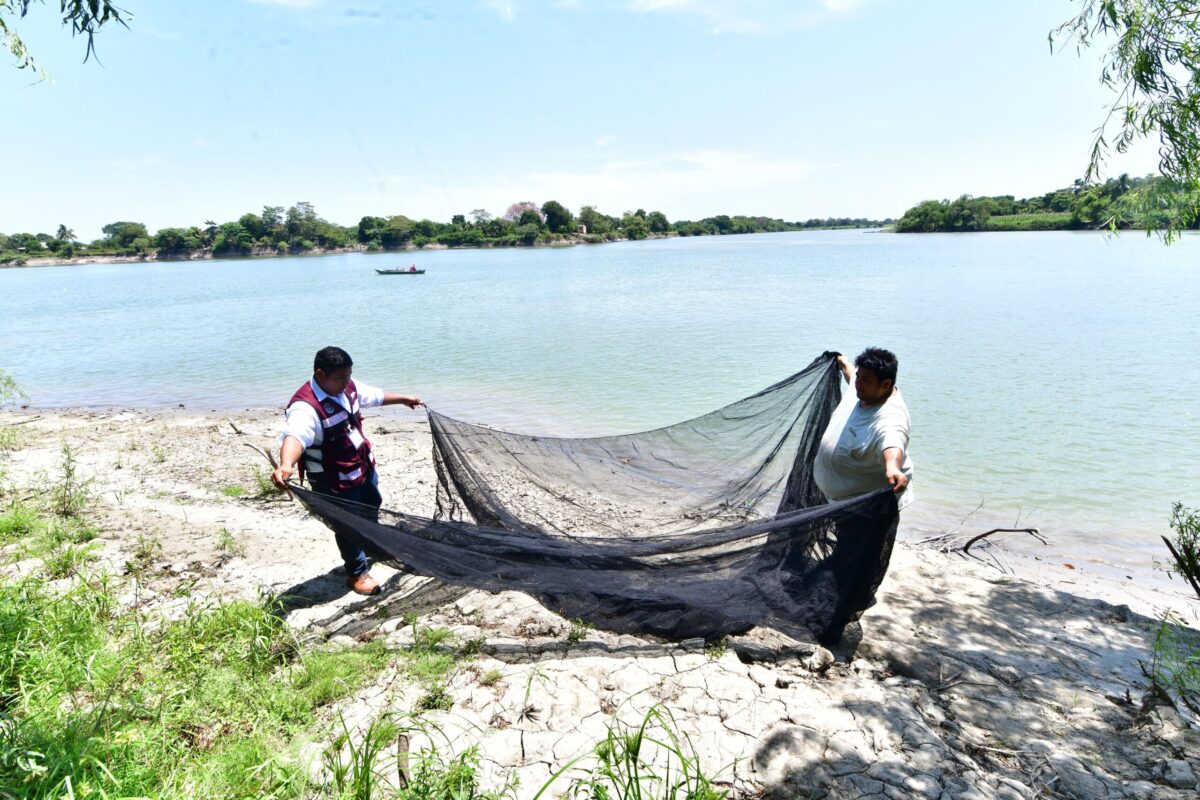 Con Pescando Vida, Gobierno del Pueblo avanza hacia seguridad alimentaria de las y los tabasqueños