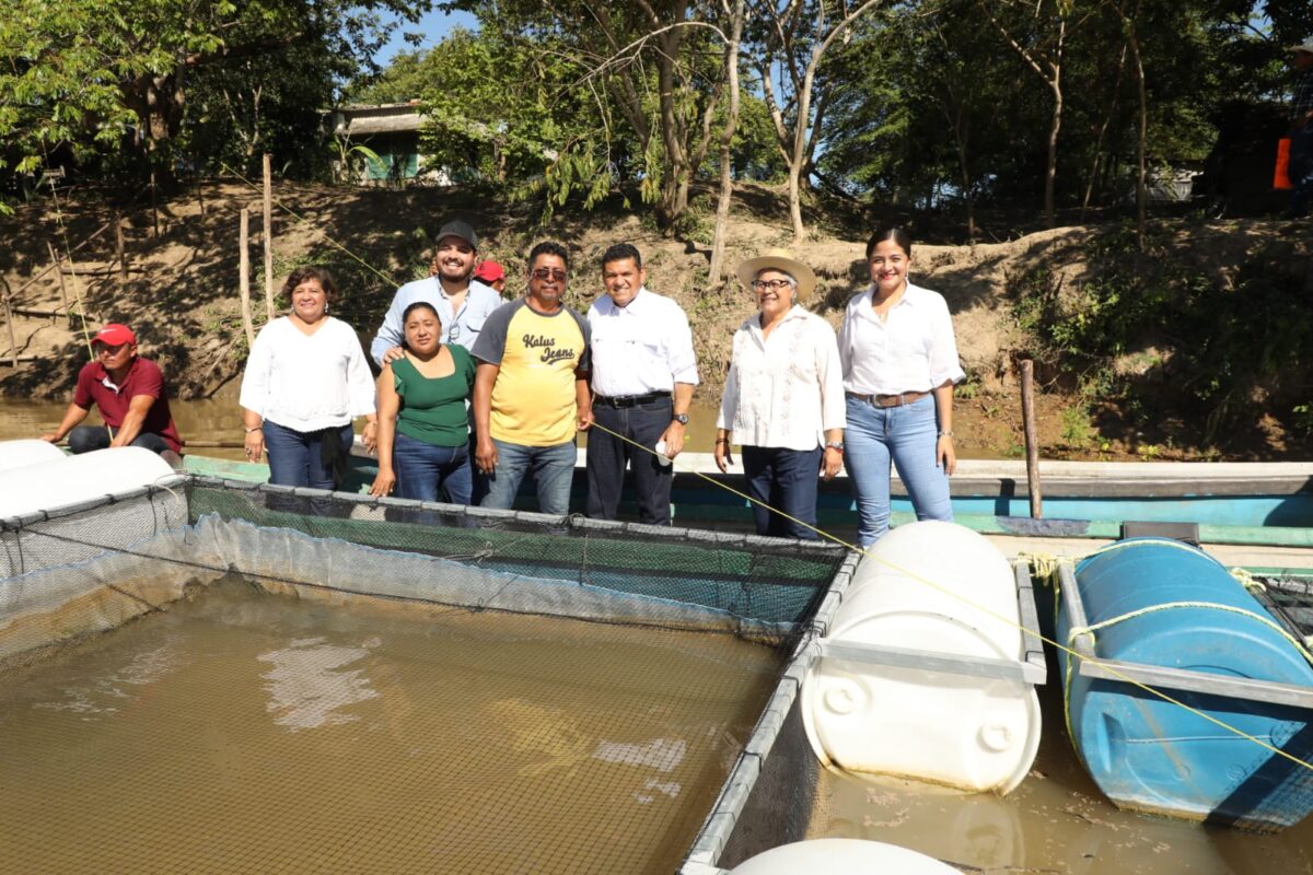 Mojarras de medio kilo gracias a ‘Pescando Vida’ en Jonuta.