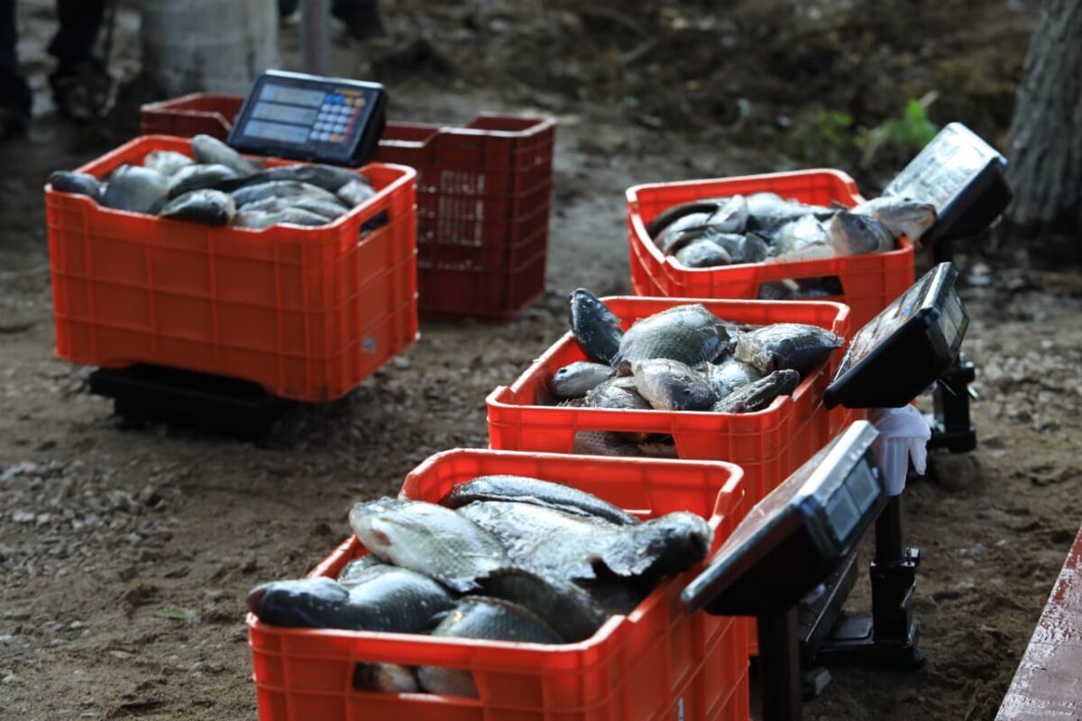 Pescando Vida hace historia en Jonuta; Javier May busca soberanía alimentaria.