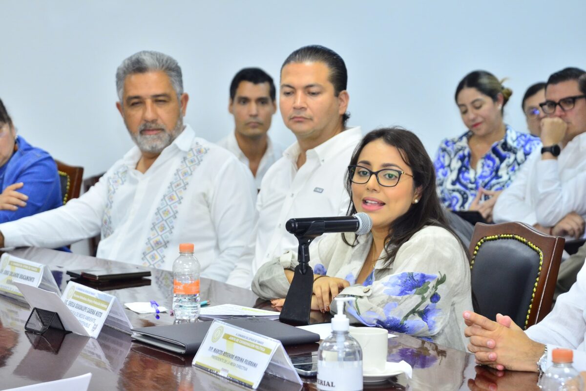 457 mdp en subsidio: Gobierno del Pueblo protege la economía con tarifa eléctrica