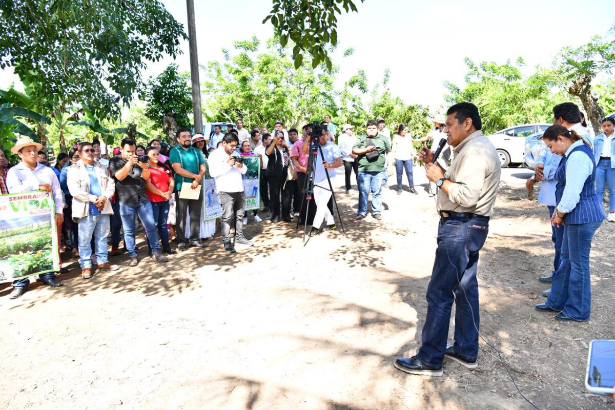 Javier May confirma: Sheinbaum apoyará oficialmente el cacao en Tabasco