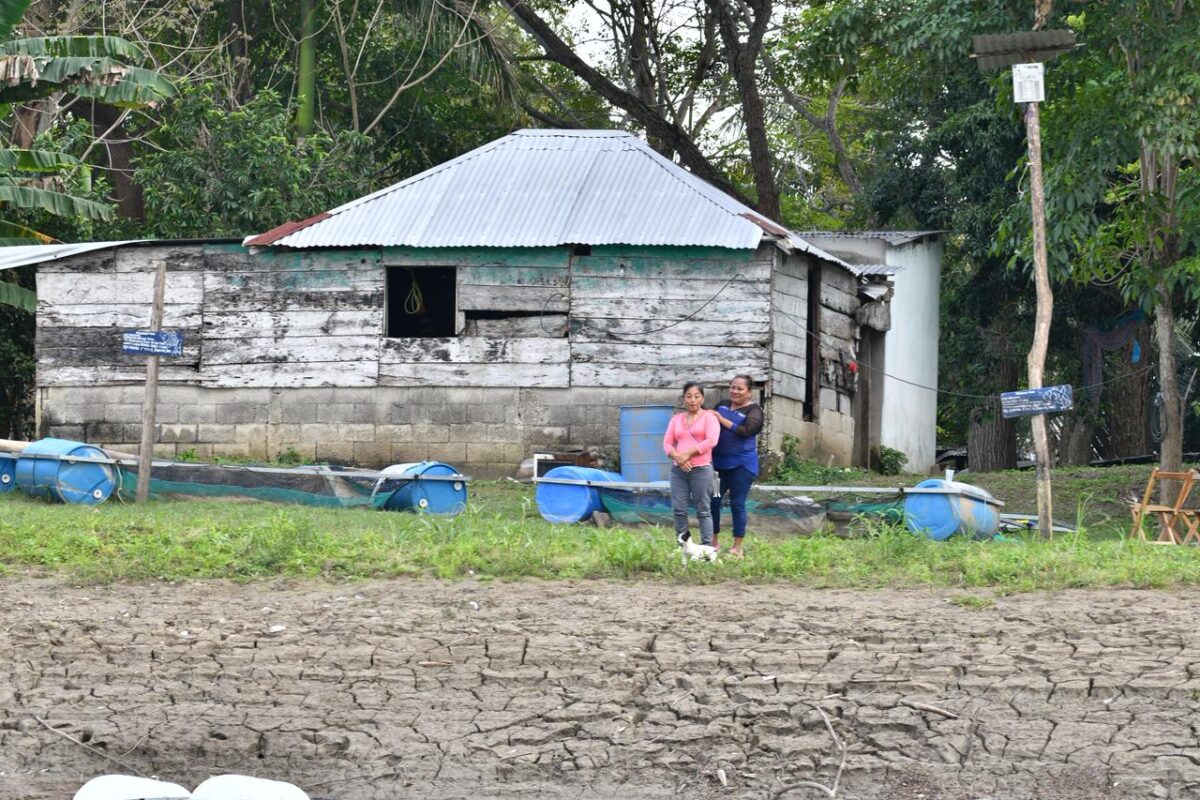 Prosperidad en el río: Familias de Jonuta aseguran bienestar con “Pescando Vida”