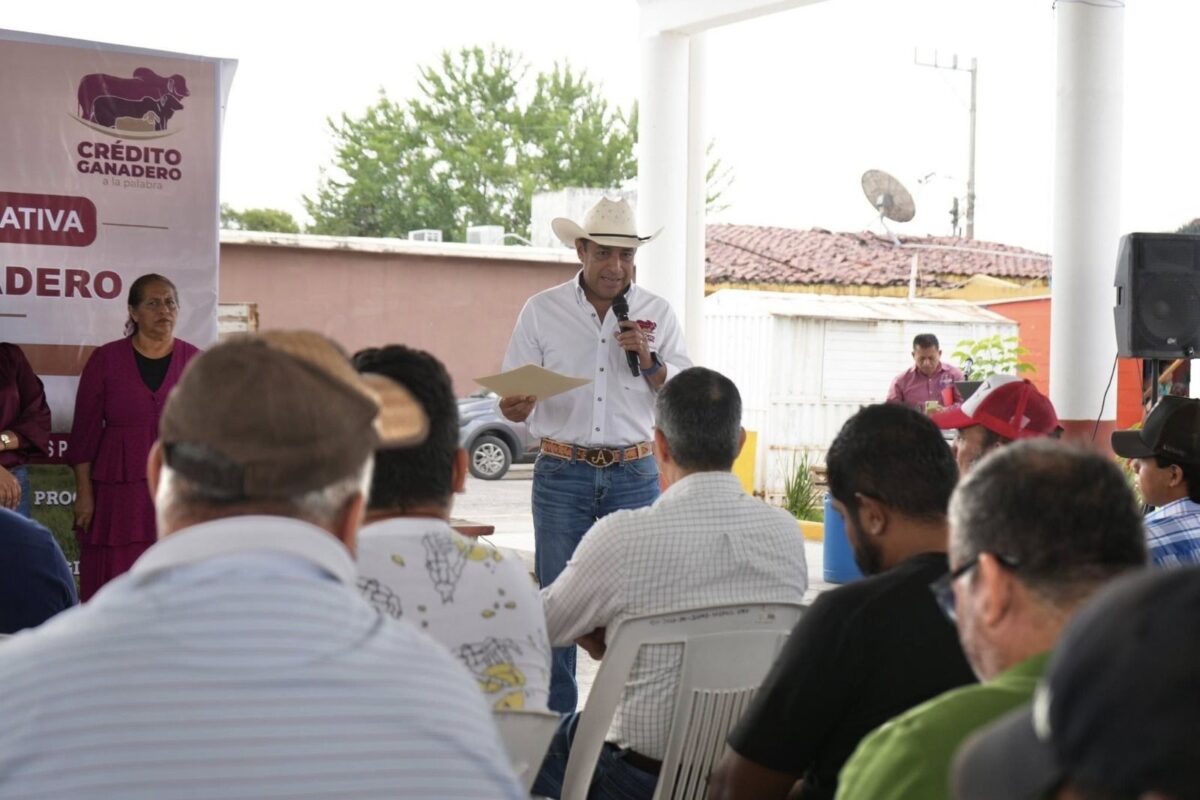 Cunduacán, Jalpa y Nacajuca: Ganadería con futuro