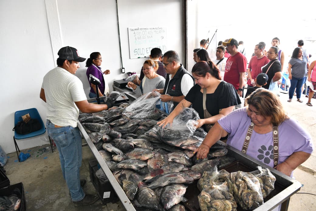 “Fresco y a buen precio”: Éxito de Pescando Vida en la Central de Abastos
