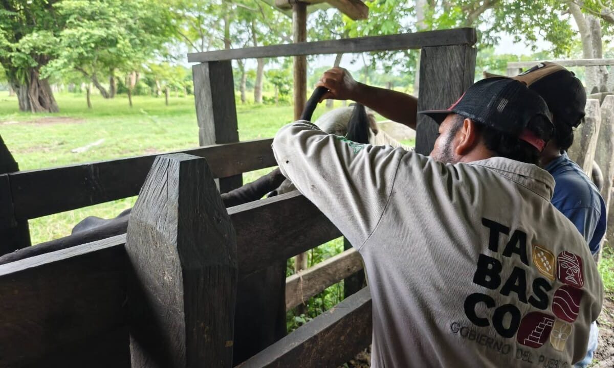Fortalece SEDAP estrategia de sanidad animal con supervisión en territorio