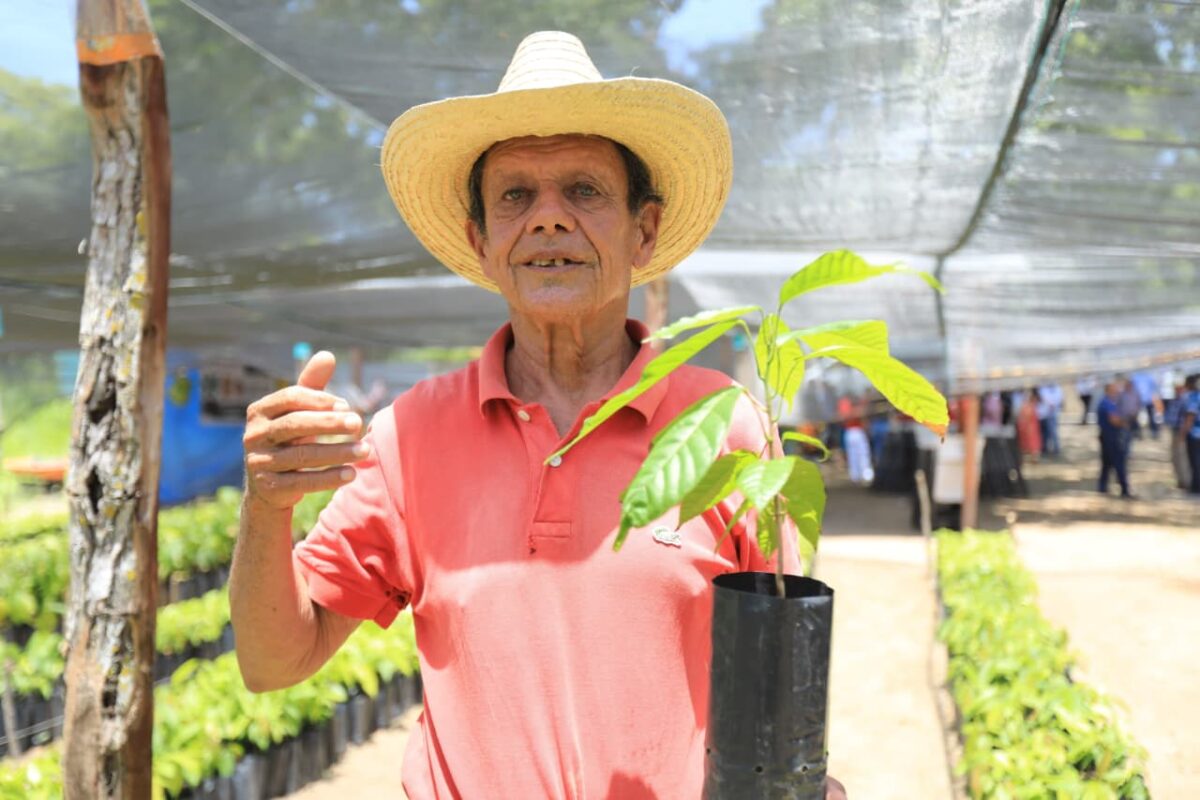 Aportará Comesfor 300 mil plantas para la Segunda Jornada de Reforestación de octubre próximo