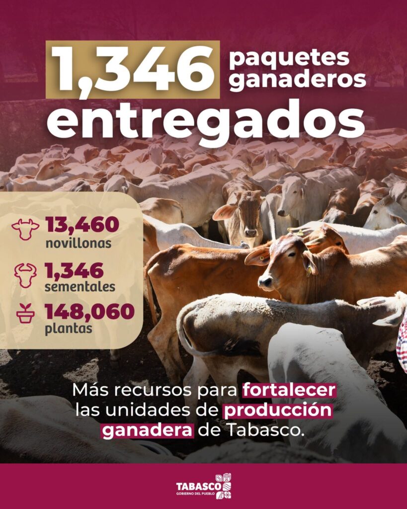 ganado